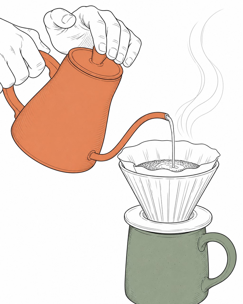 干净墨线点缀插图：双手鹅颈壶注水手冲咖啡，局部赤陶橙与鼠尾草绿，白底漂浮。