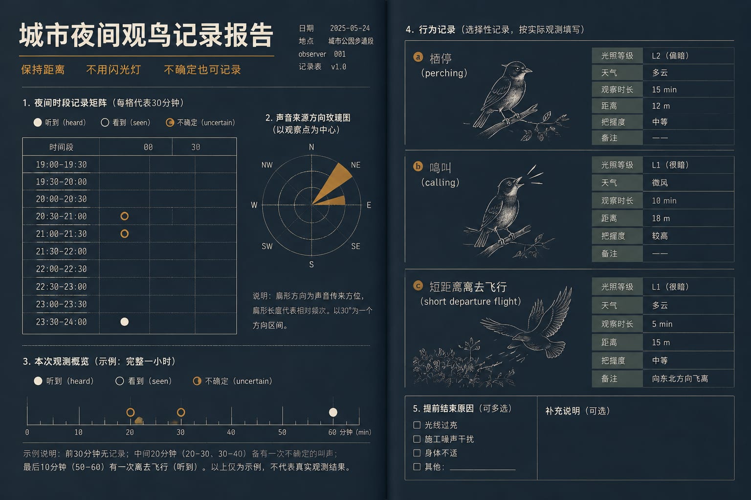 黑哥 AI 原创文档与出版案例:城市夜鸟观察报告。