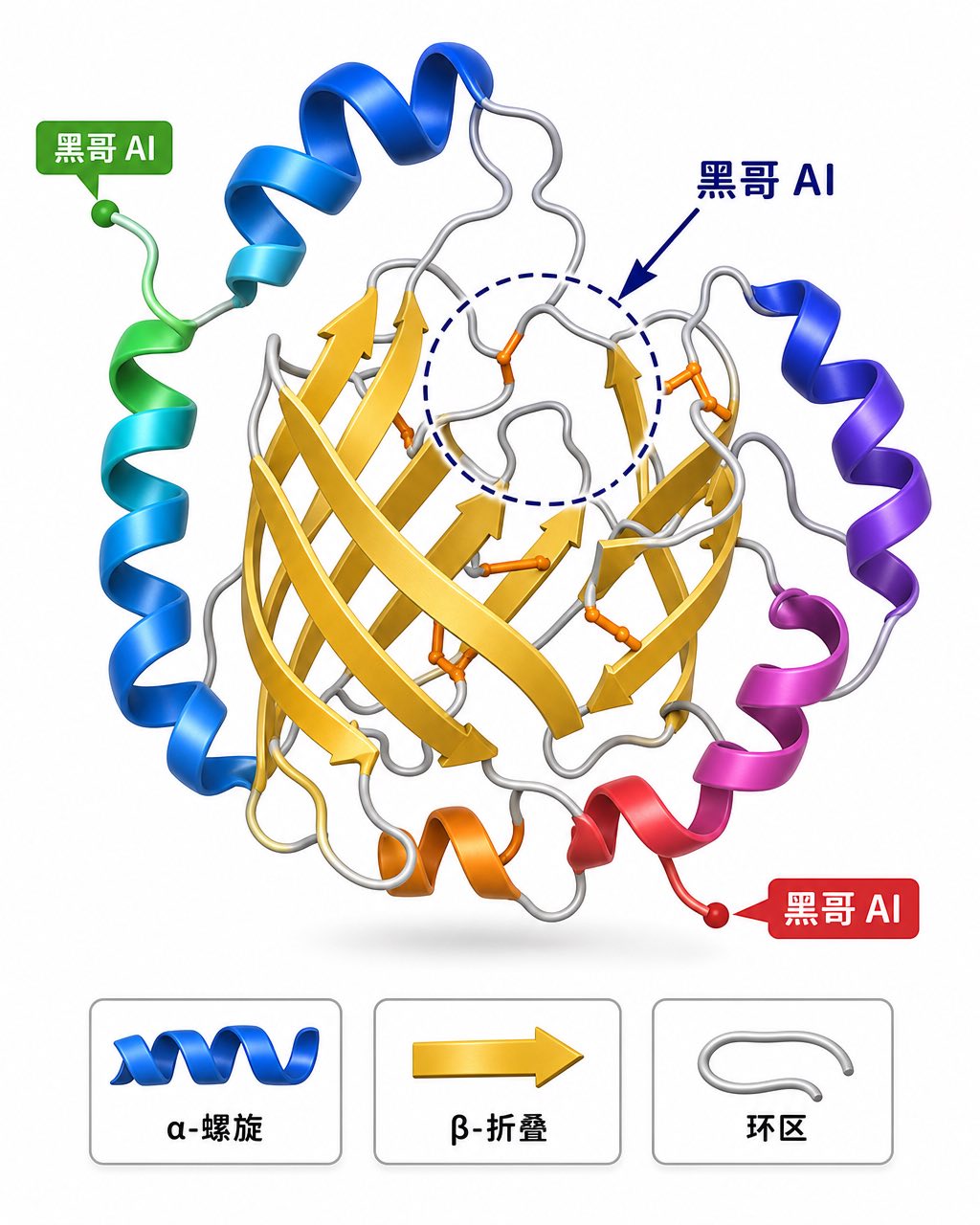 球蛋白 3D 带状图：钴蓝 α-螺旋宽带、金色 β-折叠箭头、银色环区、彩虹主链渐变，活性位点标注清晰。